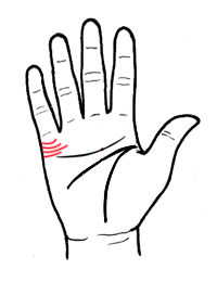 从婚姻线看爱情真假胜败