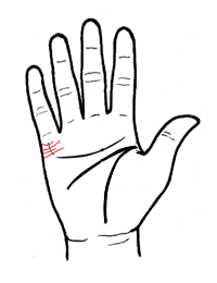 从婚姻线看爱情真假胜败