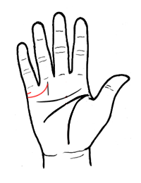 从婚姻线看爱情真假胜败