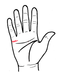 从婚姻线看爱情真假胜败