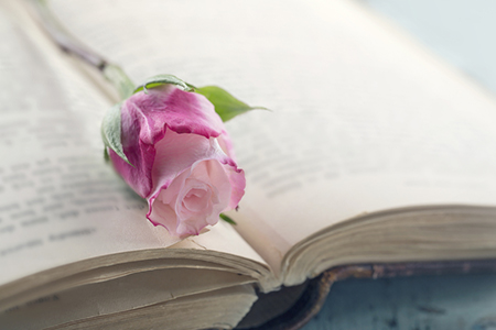 12星座爱情中的迷失