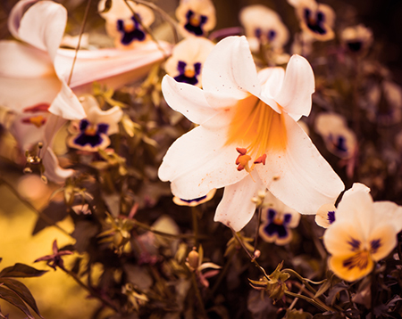 纠缠时你干出啥败性行径