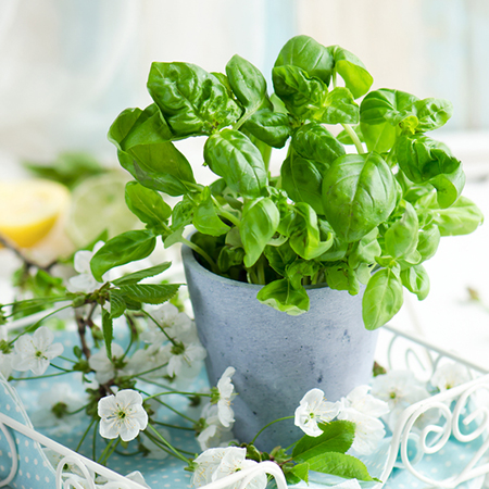 打败情敌的八大秘籍