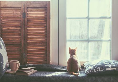 09年谁是12星座的至交