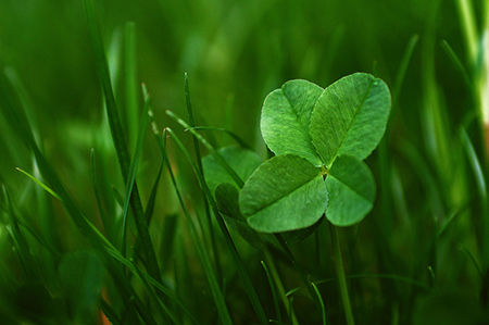 09年谁是12星座的至交