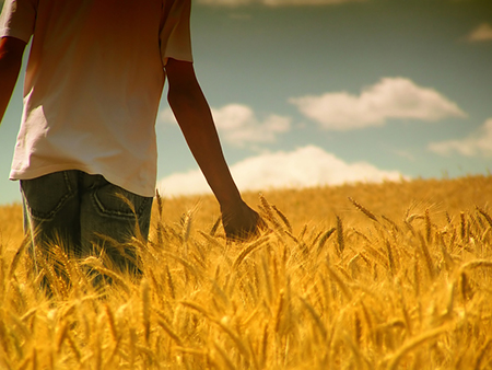 09年谁是12星座的至交