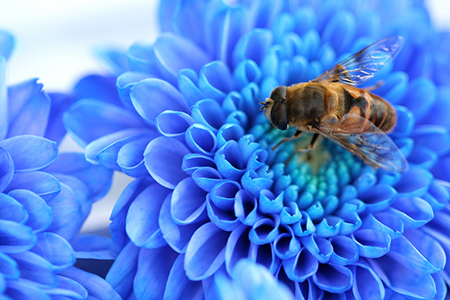 09年谁是12星座的至交