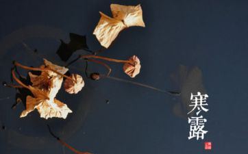 2024寒露饮食摄生吃什么