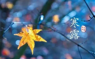2023年寒露是阴历几月初几 庚子年阴历八月二十二