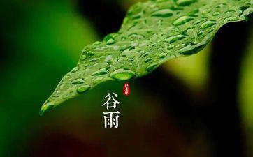 清明和谷雨哪个节气雨水多