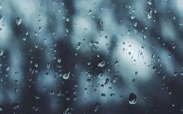 明知爱的是人渣，却不愿脱离的属相女