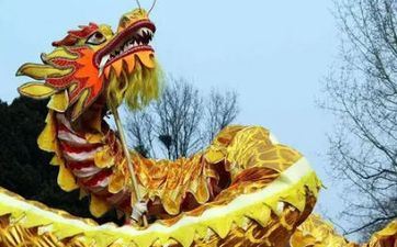 属龙人2024年运势财路广进 家添新丁