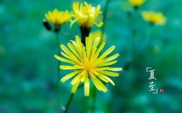 毫不勉强为女票买单的属相男