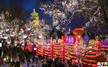 两个00年属龙的成婚好吗，最佳婚配是谁