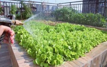 婚后对老婆很抠门的属相男,善变仍是本真