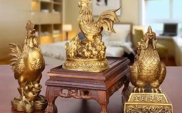 属鸡女终身的命运怎么 她们的射中贵人是谁