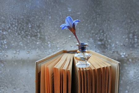 2019年会发大财的星座