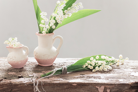 喜鹊叫的时刻吉凶预兆