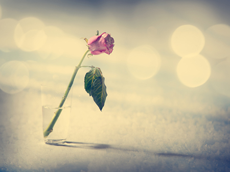 三种不聚财的八字命格