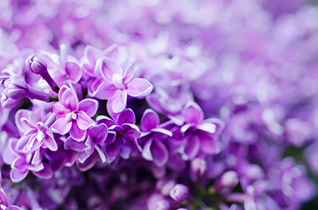 2020年提高运势化解煞气的办法