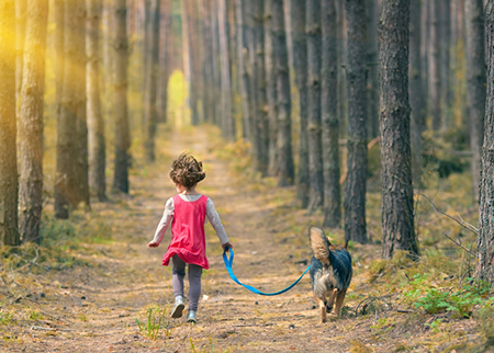 带睿字的古诗词起名大全