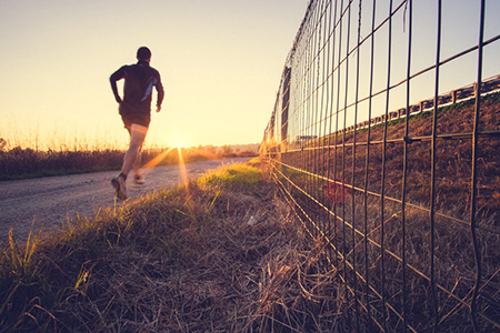 金牛座未来五年运势怎么样