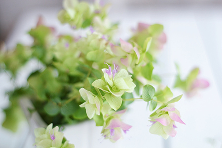 2021年1月14日今天财神方位查询