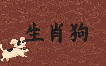 属相狗配什么属相成婚好 哪些属相最合适属相狗