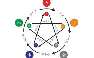 1966年属马的是什么纳音五行