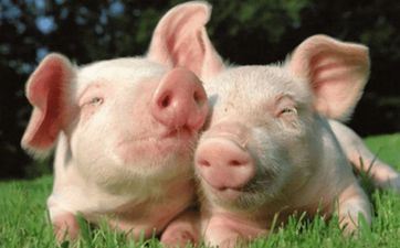 本年25岁是哪一年出世