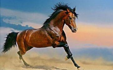 属马人2025年天降大喜