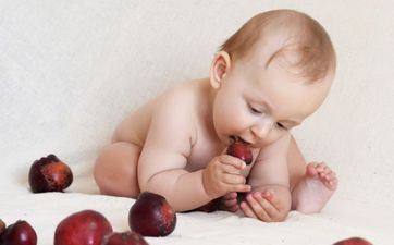 属狗的几月出世最好 属狗的女孩男孩在几月出世最好