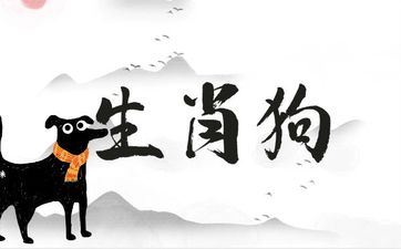 82年属相狗女老了有福吗？