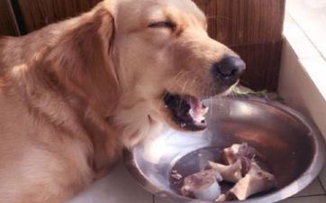 94年属狗女的姻缘何时到，25到27岁之间