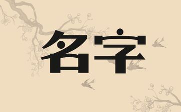 2025年七月十四出世田姓女孩姓名怎样取