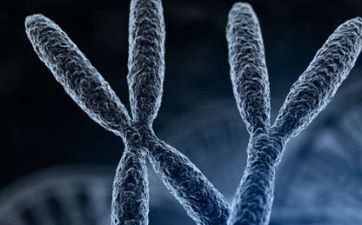 2024年冬月十八出世史姓男孩姓名