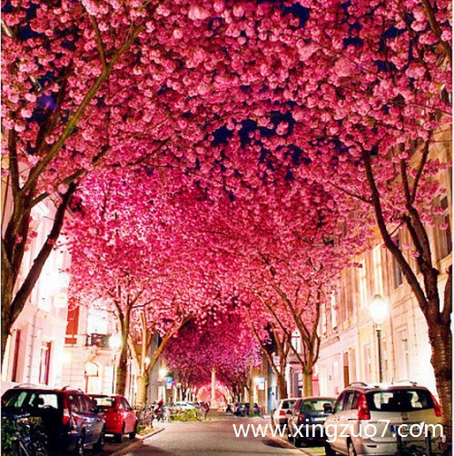 艾菲尔今天运势2024.12.201