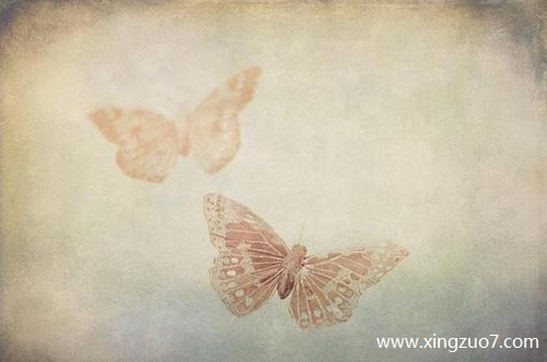 Astro今天运势2025.5.141