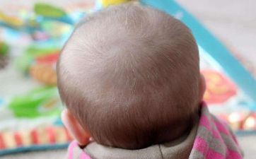 2025年正月廿五出世蔡姓女孩姓名