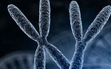 父姓邹母姓陆宝宝姓名