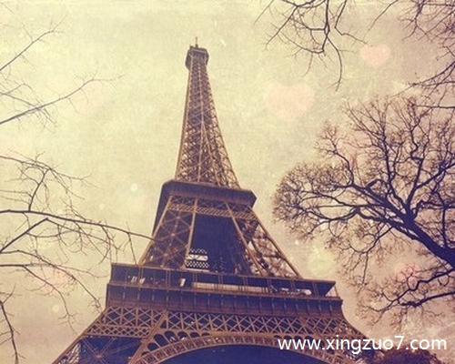 最塔罗今天运势2025.11.81