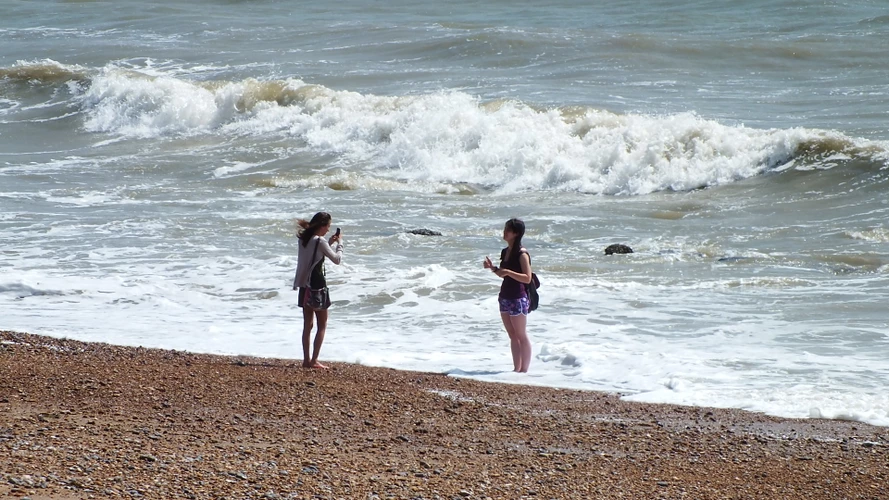 无花果鸡肉汤怎么做