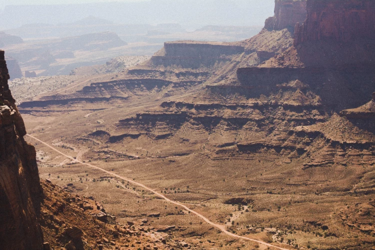 羊排白萝卜汤的做法领会