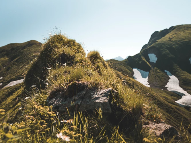 女人出轨怎么办?男子要若何挽回妻子